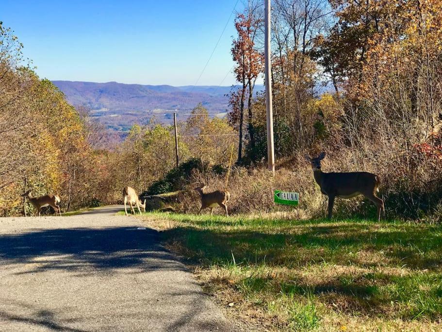 Blue Ridge Parkway Panoramic Paradise-60 Mile View Fancy Gap Luaran gambar
